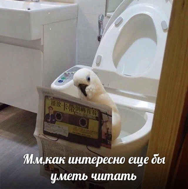 Когда впервые открываешь список билетов к экзамену