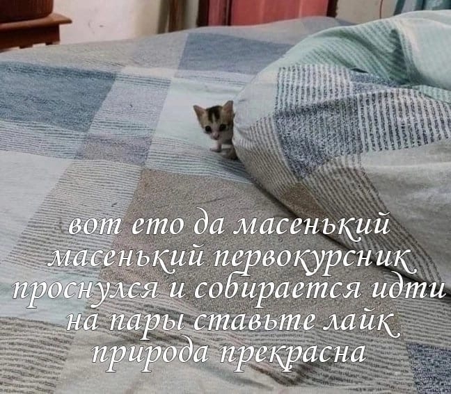 Пост VK #1403